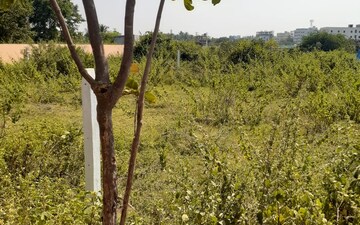 Plot For Sale in Kondapur