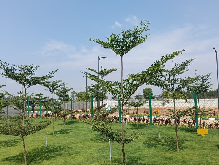 Exterior View, bannerghatta jigani road  1500 Sq.Ft. Plot In Bannerghatta Jigani Road Bangalore 8516900