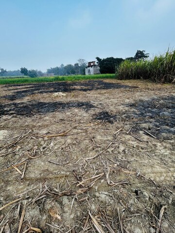   Plot at Kathinhia – for Sale