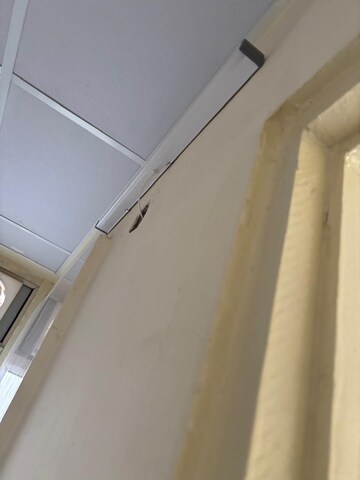 Room in 2 BHK Apartment at Pyramid Fusion Homes, Sector 70a – for Rent