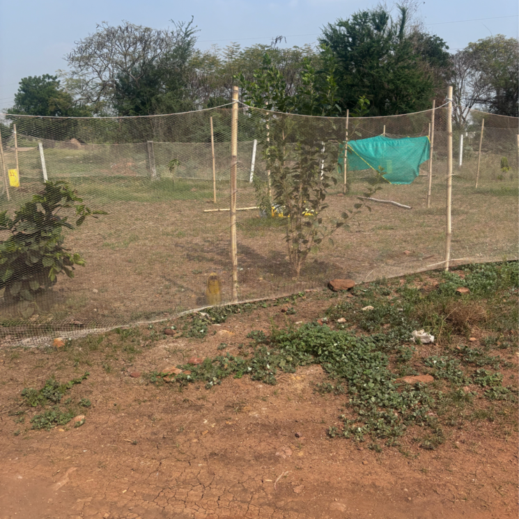undefined, kunchanapalli  200 Sq.Yd. Plot In Kunchanapalli Vijayawada 8517703