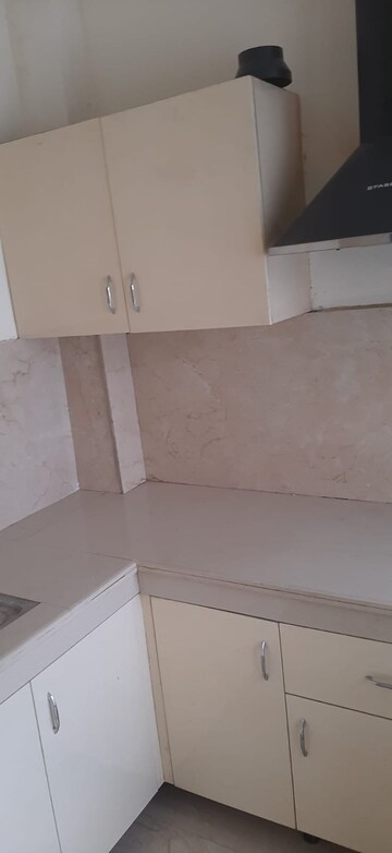 Kitchen in 3 BHK Builder Floor at Sector 30 – for Rent