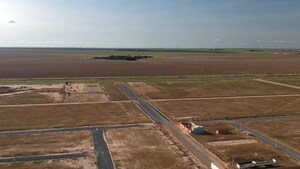  Plot For Sale in Jigani