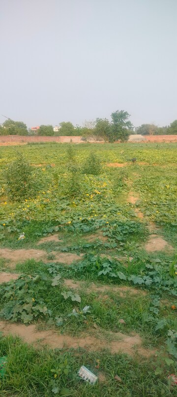  Land – Exterior View View at Jind ho - for Sale