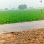 7 Acre Land in 7 Acre Land Jind