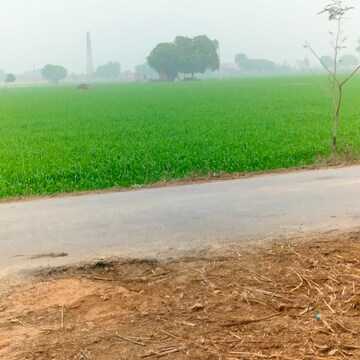  Land For Sale in Jind ho