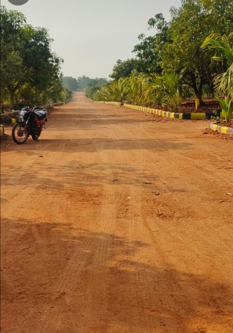 Plot For Sale in Plots For Sale In Kammada