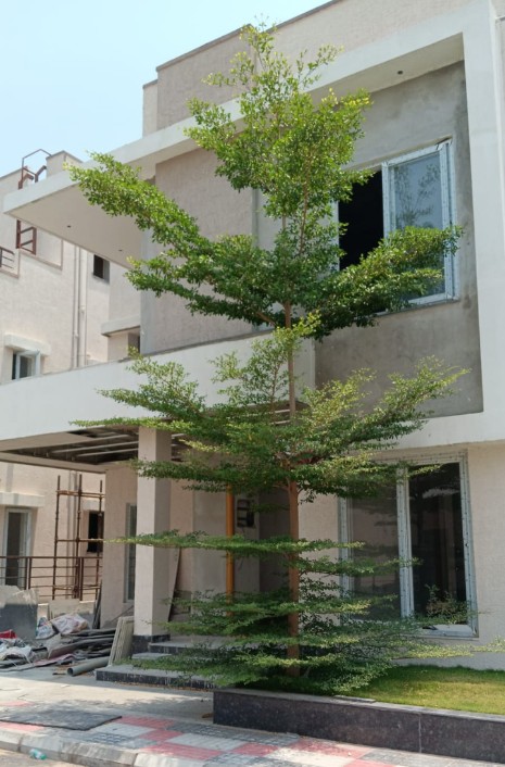 4 BHK + Pooja Room,Servant Room,Extra Room Villa For Sale in Gated Community Villas fo