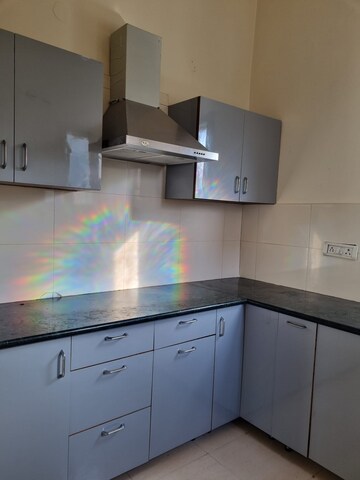 Kitchen in 2 BHK Builder Floor at Sector 18 – for Rent