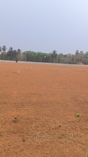 Plot Area in  Plot at Kothavalasa – for Sale