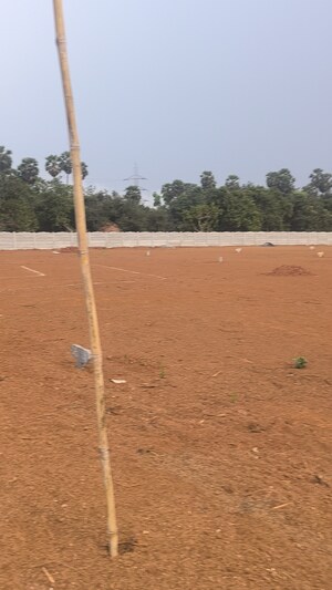  Plot For Sale in Kothavalasa