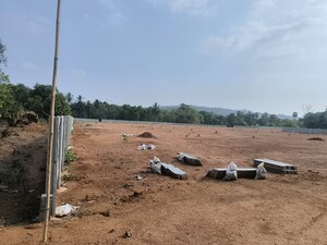 Plot Area in  Plot at Kothavalasa – for Sale
