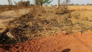 Plot Area in  Plot at Labhandi – for Sale