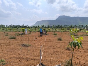   Plot at Anakapalle – for Sale