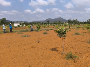  Plot For Sale in Anakapalle