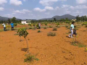 Plot Area in  Plot at Anakapalle – for Sale