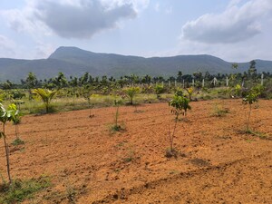 Plot Area in  Plot at Anakapalle – for Sale