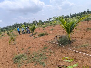 Plot Area in  Plot at Anakapalle – for Sale