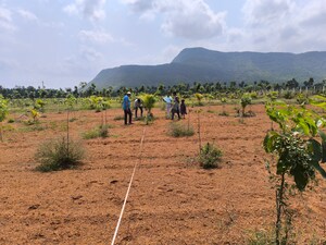 Plot Area in  Plot at Anakapalle – for Sale