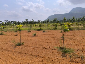 Plot Area in  Plot at Anakapalle – for Sale