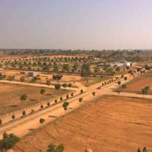  Plot For Sale in Sri India Township, Amangal