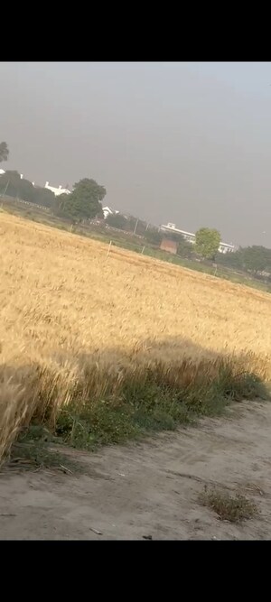  Land – Exterior View View at Diwana - for Sale