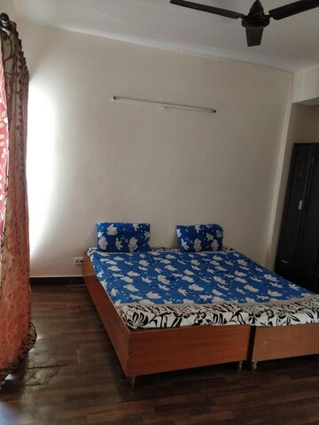 Room in 2.5 BHK Apartment at Paras Tierea, Sector 137 – for Rent