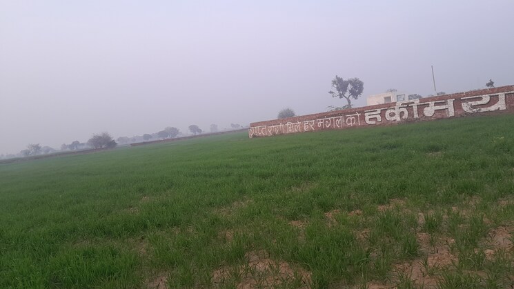 undefined, naubatpur  1200 Sq.Ft. Plot In Naubatpur Patna 8504675