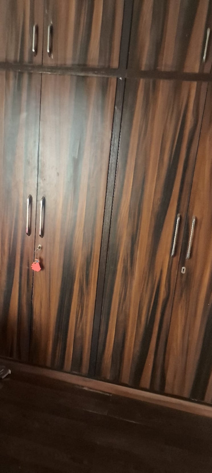 undefined, paras-tierea 1 Bedroom 495 Sq.Ft. Apartment In Sector 137 Noida 8519696