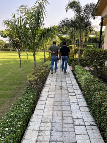 Plot Area in  Plot at Sector 150 – for Sale