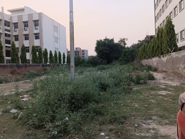Plot Area in  Plot at Sector 144 – for Sale