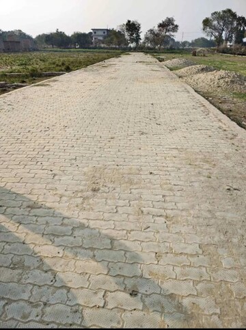 Plot Area in  Plot at Jhalwa – for Sale