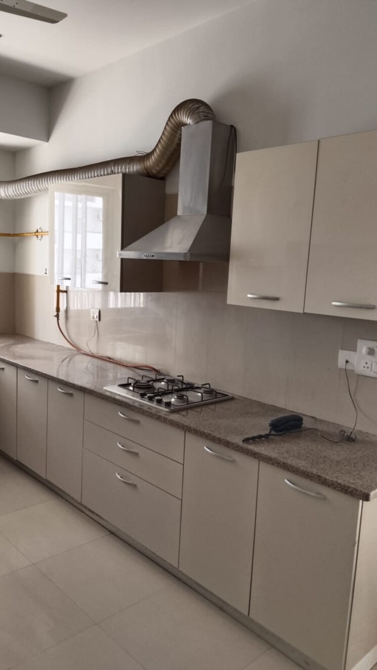 Kitchen, emaar-the-palm-drive-the-sky-terraces 4 Bedroom 3625 Sq.Ft. Apartment In Sector 66 Gurgaon 8521324