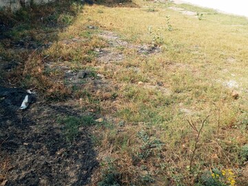 Plot Area in  Plot at TDI City Kundli, Kundli – for Sale