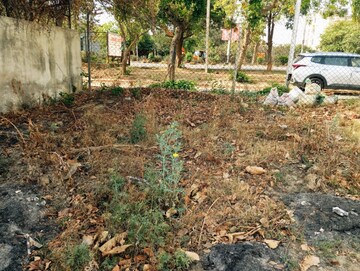 Plot Area in  Plot at TDI City Kundli, Kundli – for Sale