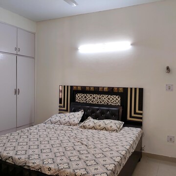 3 BHK Builder Floor For Rent in Sector 52