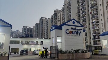 2 BHK Apartment For Sale in MGH Mulberry County, Sector 70