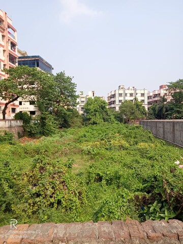 Plot Area in  Plot at Boral – for Sale
