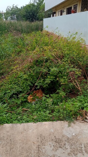 Plot Area in  Plot at Venkatapuram – for Sale
