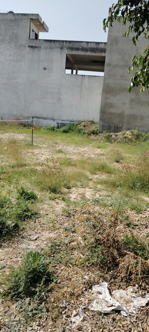  Plot For Sale in Amehra Adipur