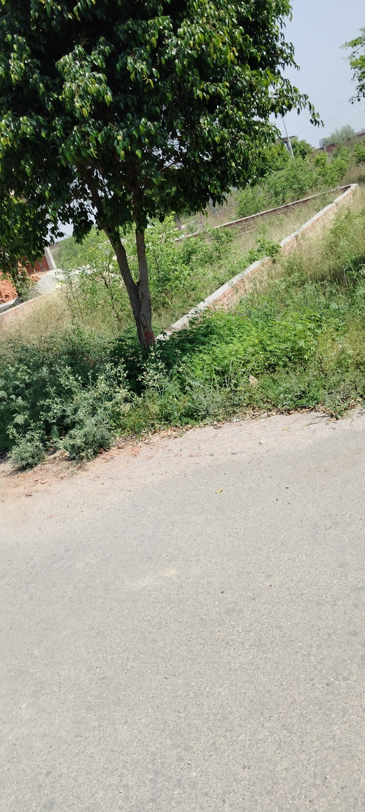 undefined, amehra adipur  150 Sq.Yd. Plot In Amehra Adipur Meerut 8526283