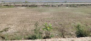  Plot For Sale in Meerut Bypass Road