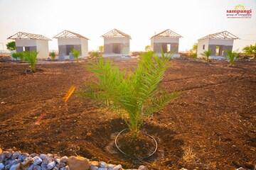   Plot at Rudraram – for Sale