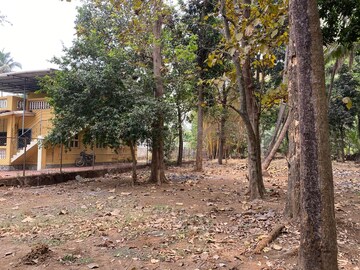   Plot at Alibag – for Sale