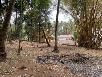  Plot For Sale in Alibag