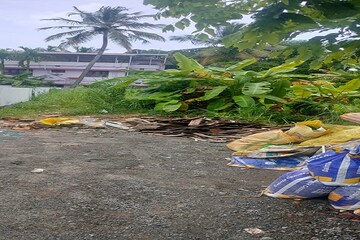  Plot For Sale in Punkunnam