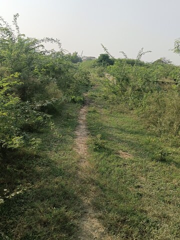  Plot For Sale in Xu Iii Greater Noida
