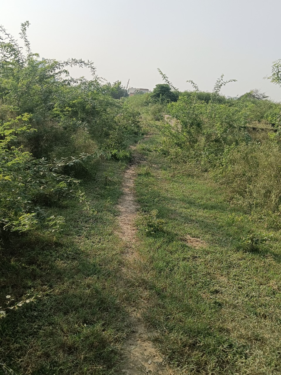 Plot For Sale in XU III Greater Noida