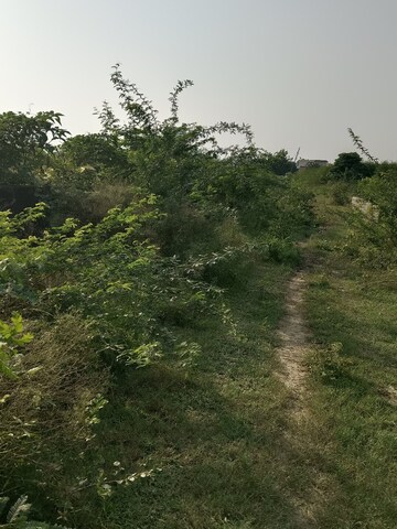 Plot Area in  Plot at Xu Iii Greater Noida – for Sale