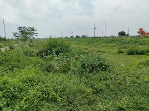 Plot Area in  Plot at Xu Iii Greater Noida – for Sale
